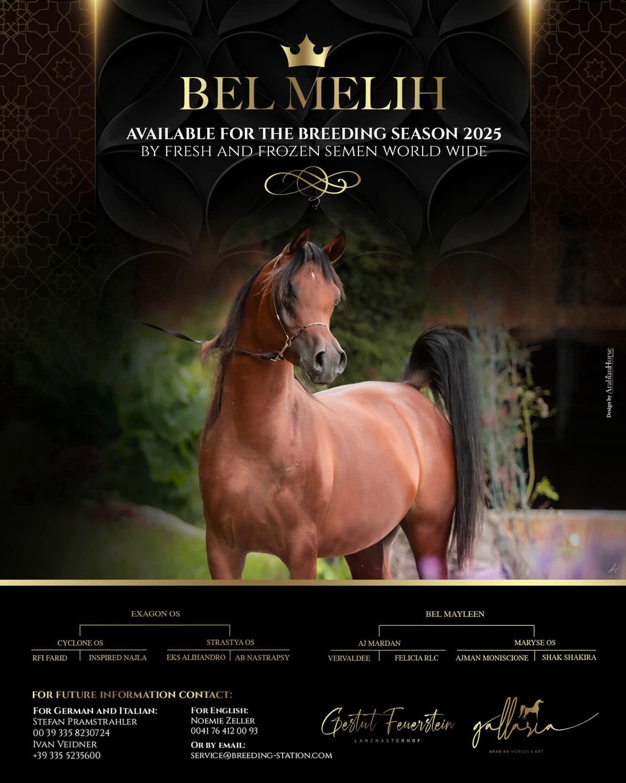 BEL MELIH - Foto 2