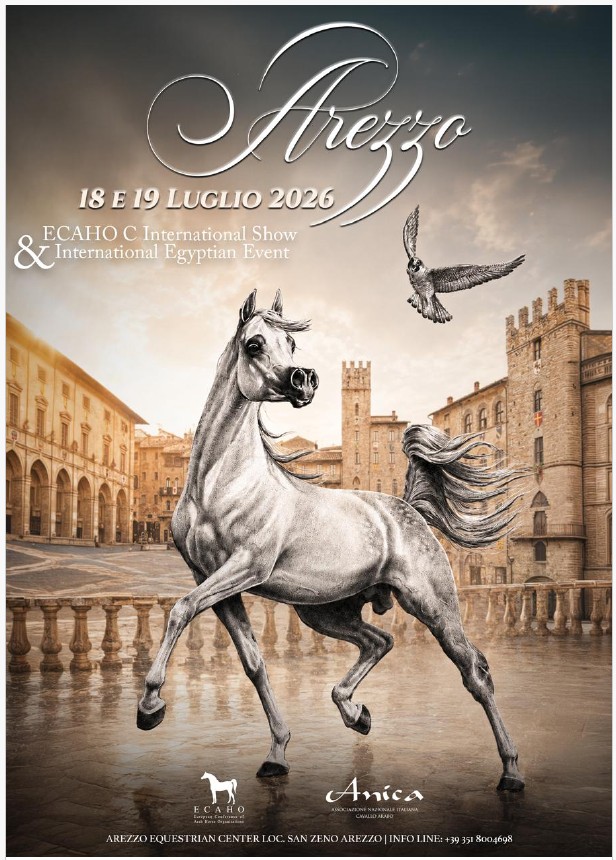 AREZZO ARABIAN HORSE SHOW - (C internazionale ECAHO)