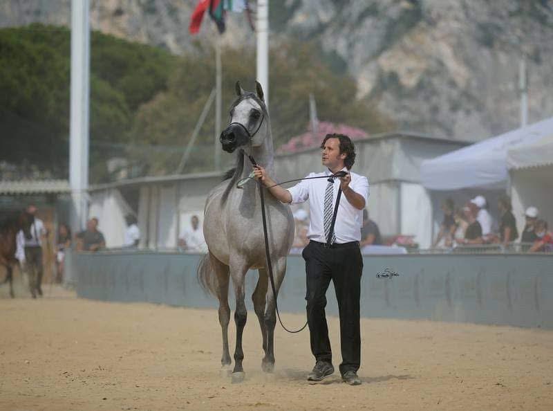 MARINO ALESSANDRO - Foto 3