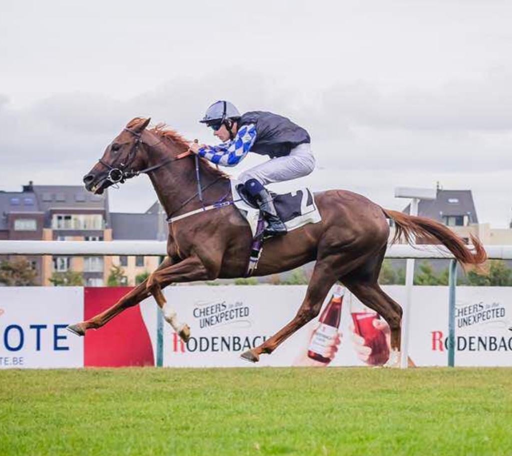 MUNTASER AL KHALEDIAH