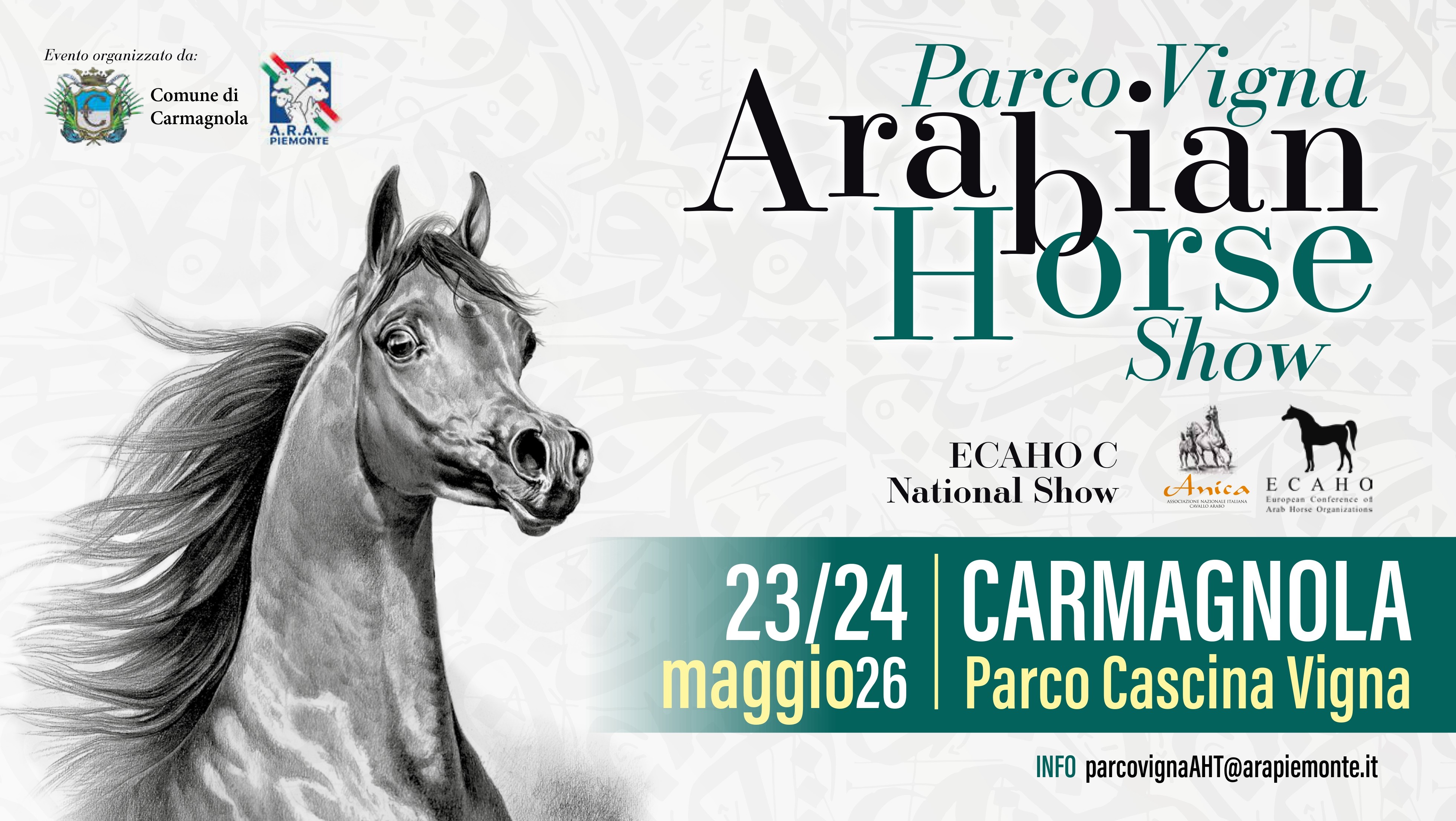 PARCO VIGNA ARABIAN HORSE SHOW - C naz