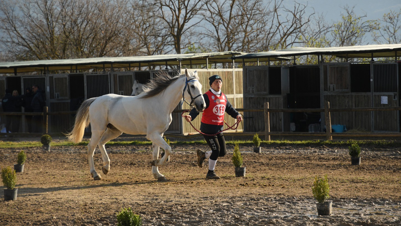 OTTIMI RESPONSI PER GLI PSA DELL'ENDURANCE 