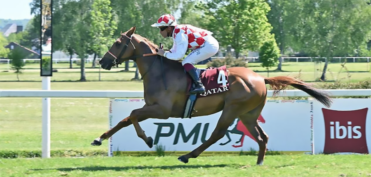 L'ITALIA CHE ALLEVA BENE SUGLI SCUDI IN FRANCIA