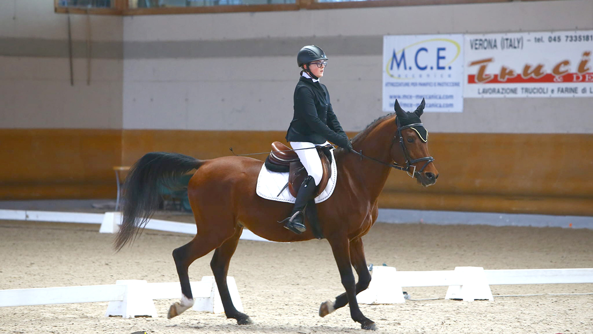 DALL’ENDURANCE AL DRESSAGE: LA MERAVIGLIA DELL’ARABO MONTATO