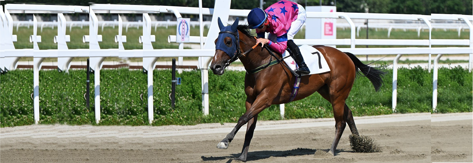 UAE PRESIDENT CUP A MILANO: MOSHRIF (GR.1) E ALTRI SETTE VINCITORI DI PATTERN RACES TRA GLI ISCRITTI PER IL 21 GIUGNO