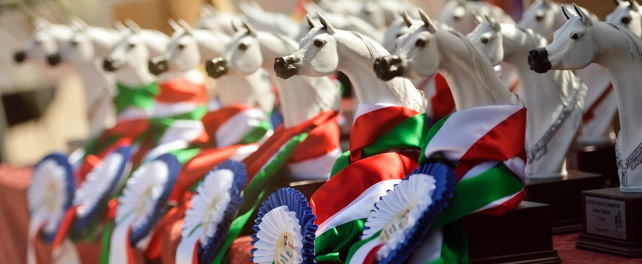 TORNA LA TRAPANI ARABIAN HORSE CUP