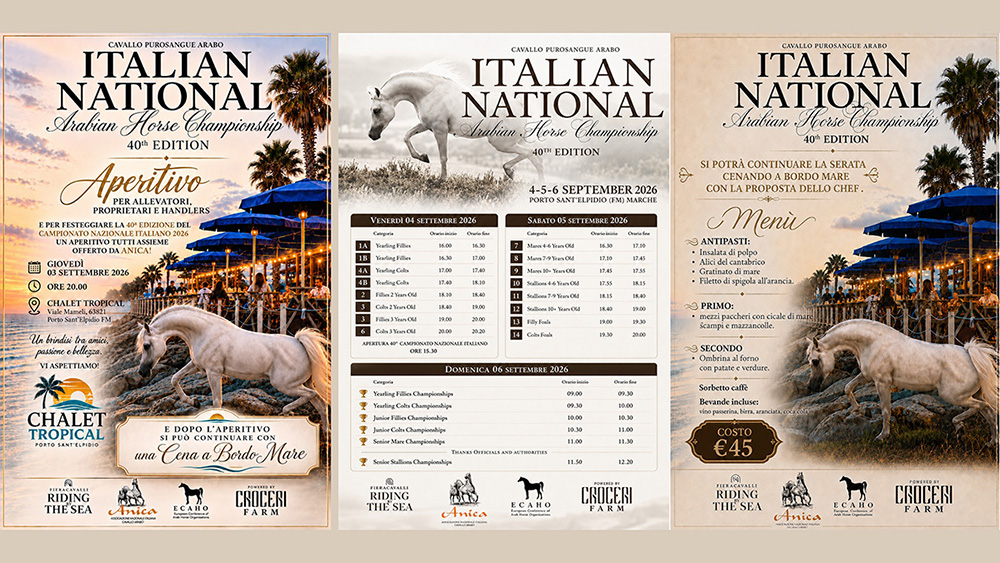 ITALIAN NATIONAL ARABIAN HORSE CHAMPIONSHIP: SI COMINCIA BENE!