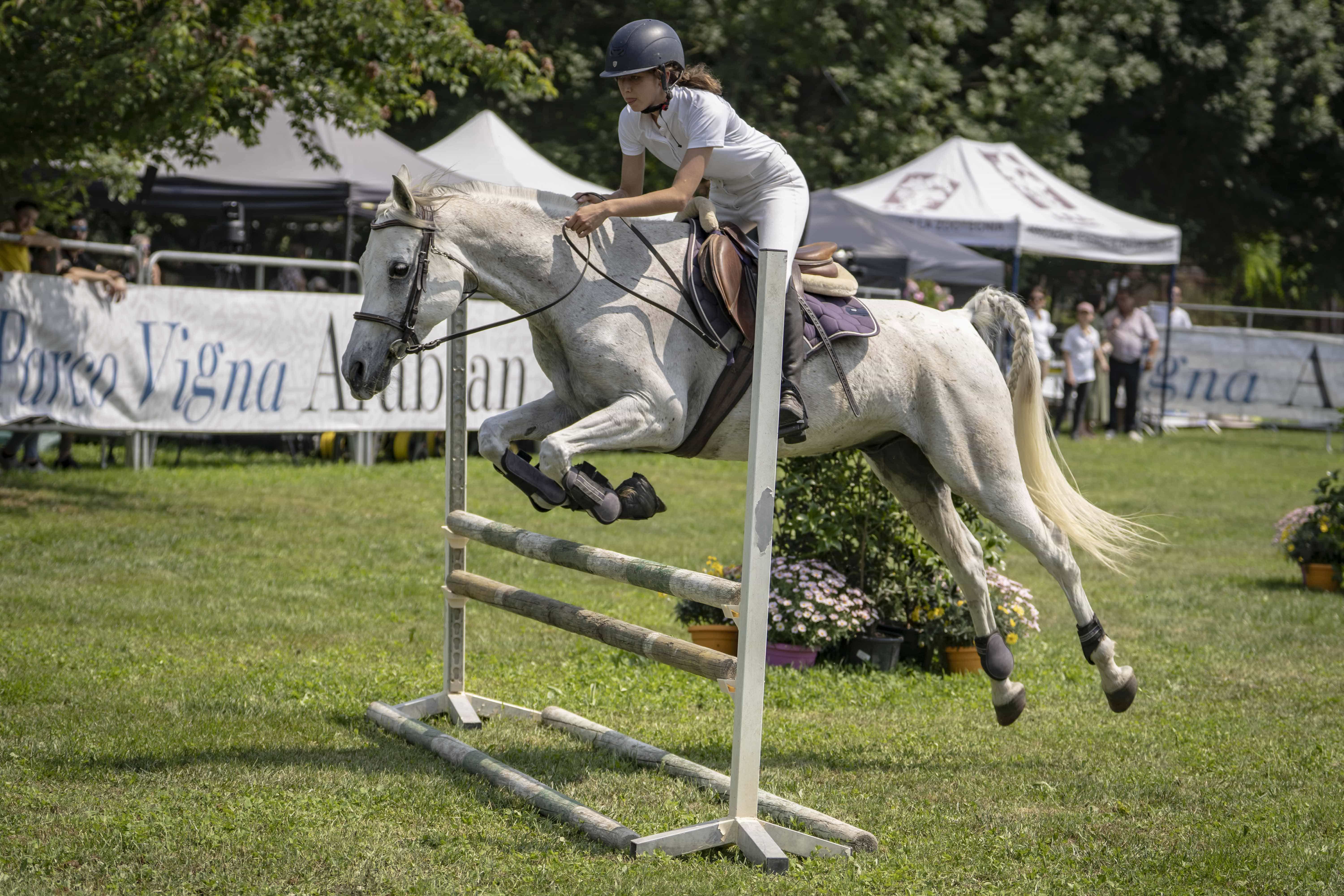 Uae President Cup: appuntamento clou alle porte. Demuro e Fresu al via